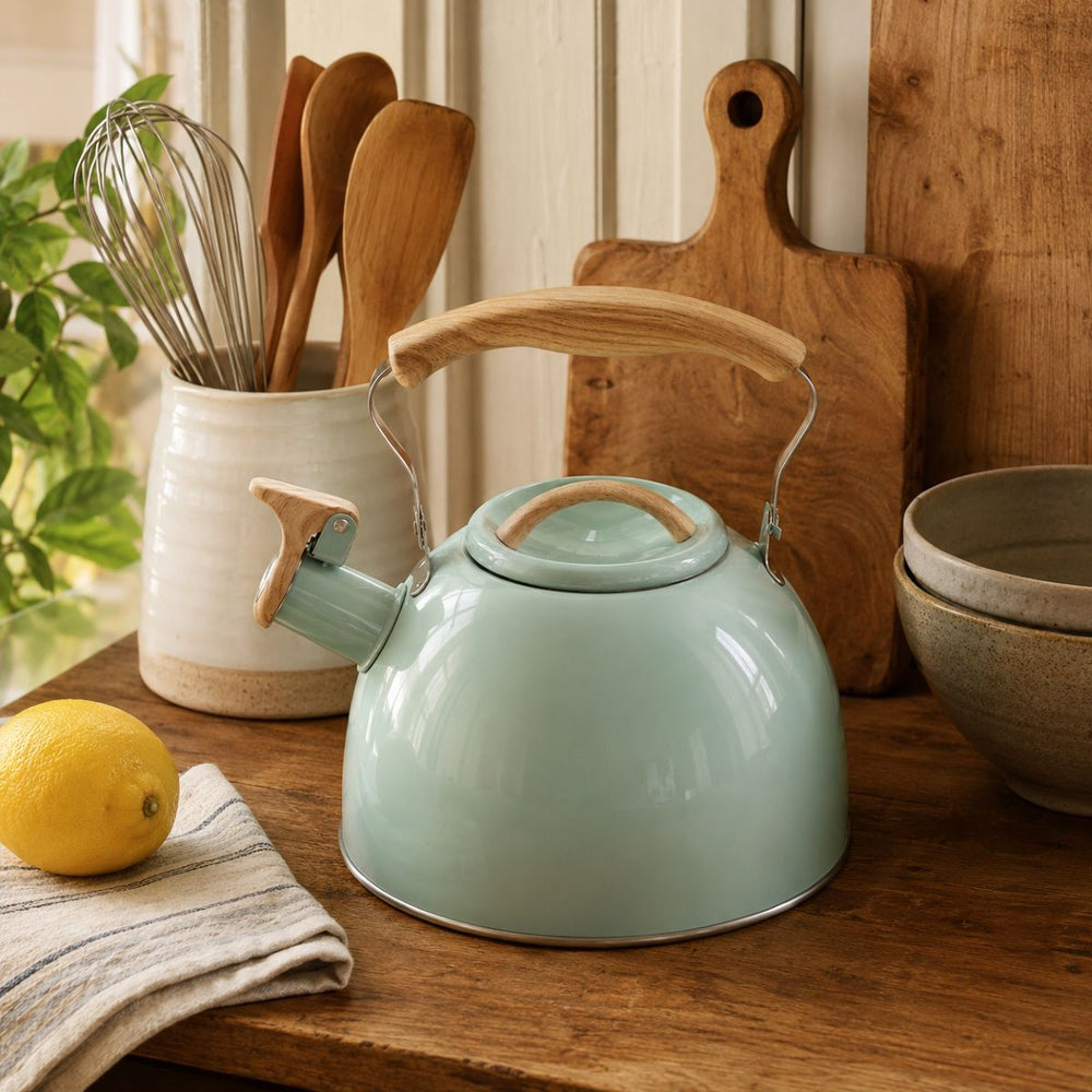 Mira 3L whistling kettle – Stainless steel – Mint Green