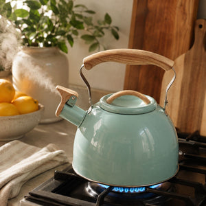 Mira 3L whistling kettle – Stainless steel – Mint Green