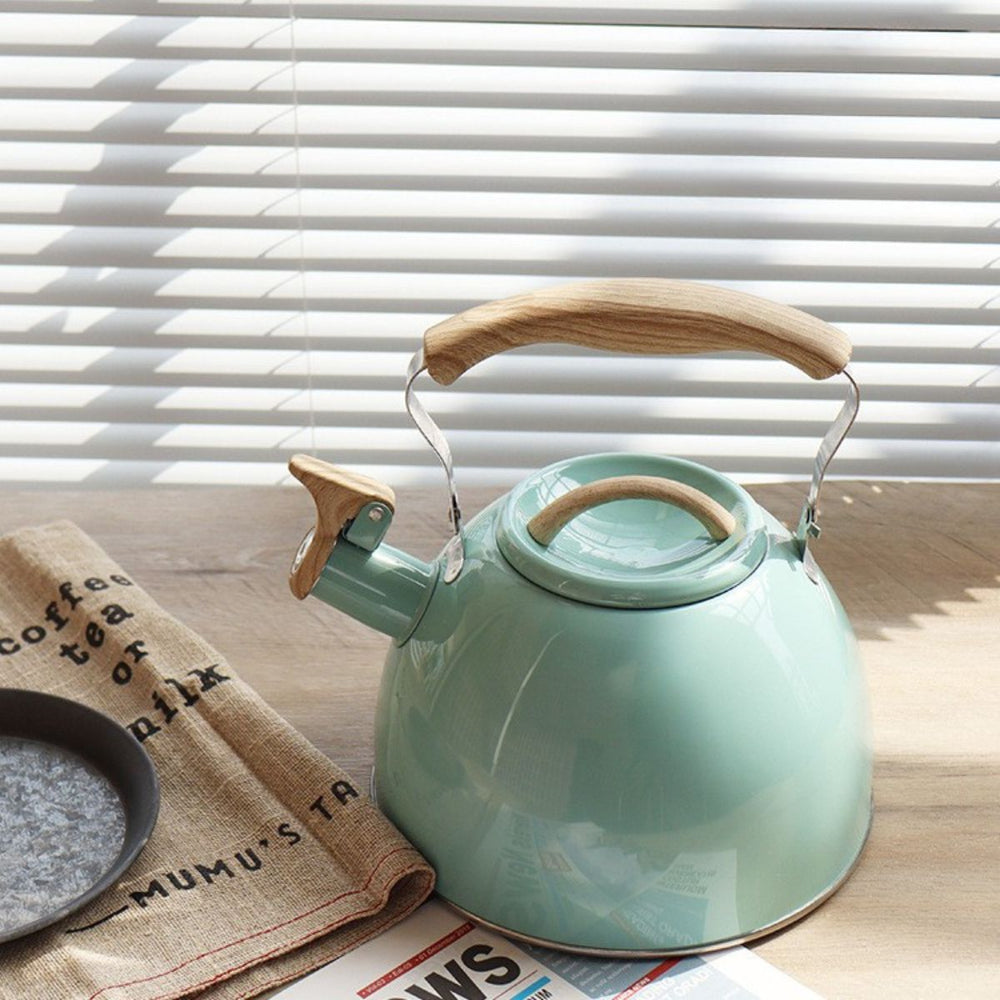 Mira 3L whistling kettle – Stainless steel – Mint Green